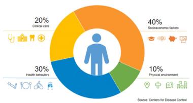 pie chart